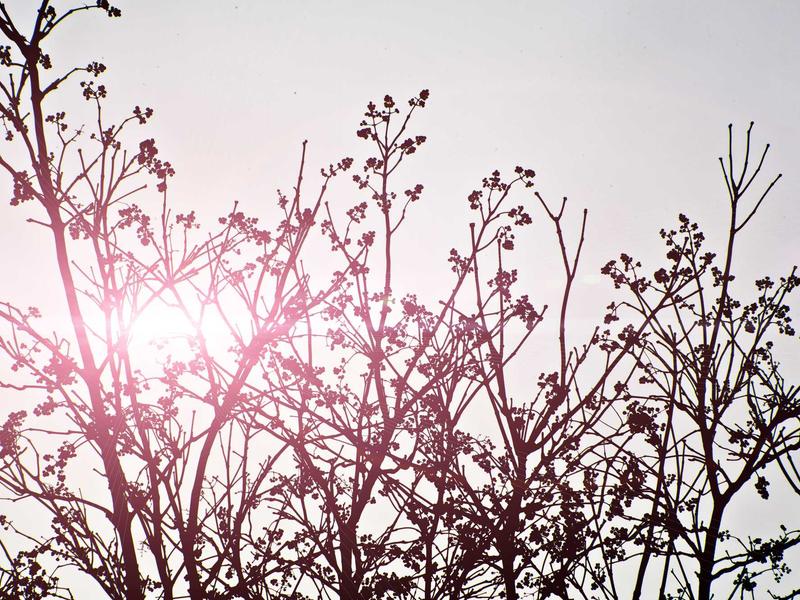 sudoku medium screenshot 3